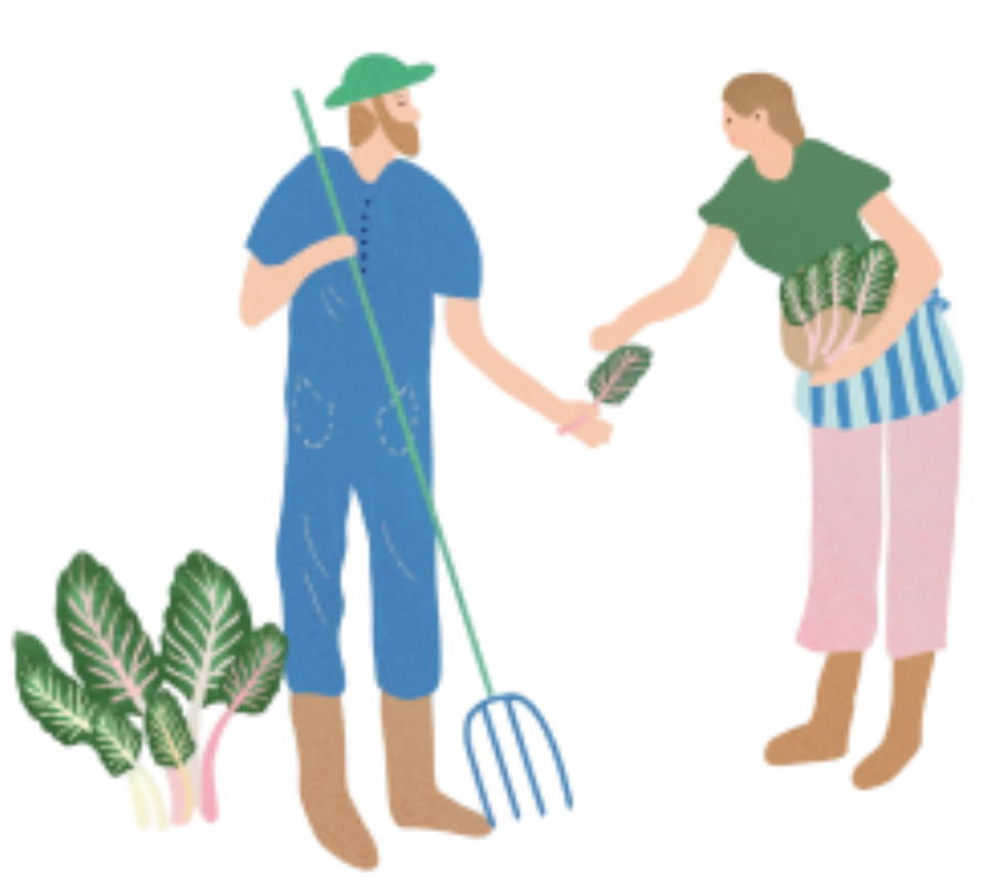 Illustration établissement