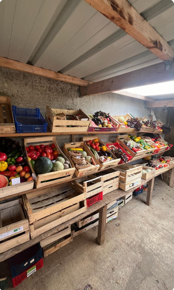 Panier personnalisé selon vos envies