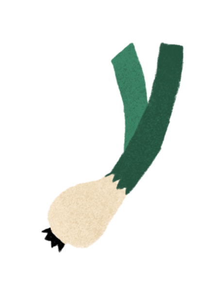 Oignon vert